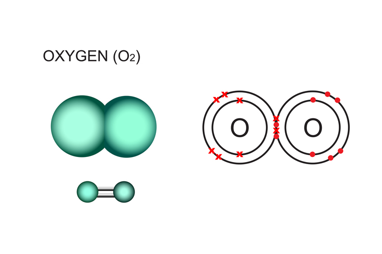 A molecule with 2 oxygen atoms is a diatomic molecule